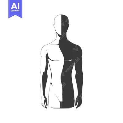 Aset desain premium: Black and White Silhouette of a Male Torso