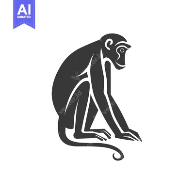 Aset premium populer: Black and white silhouette of a monkey sitting