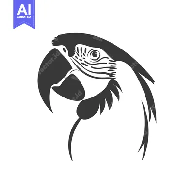 Popular premium asset: Black and White Silhouette of a Parrot's Head