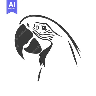 Premium design asset: Black and White Silhouette of a Parrot's Head