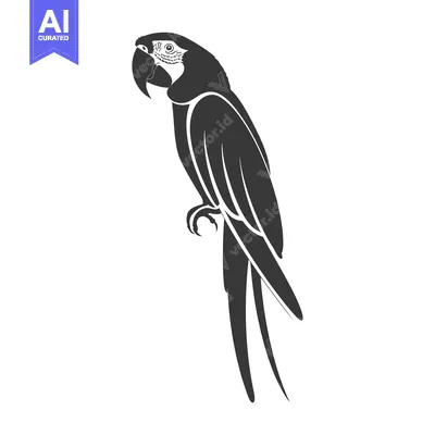 Popular premium asset: Black and White Silhouette of a Parrot with a Curved Beak