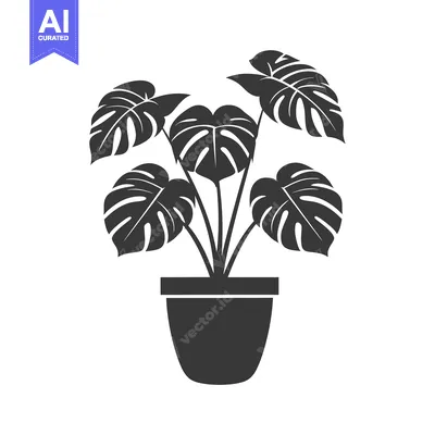 Aset premium populer: Black and white silhouette of a potted monstera plant