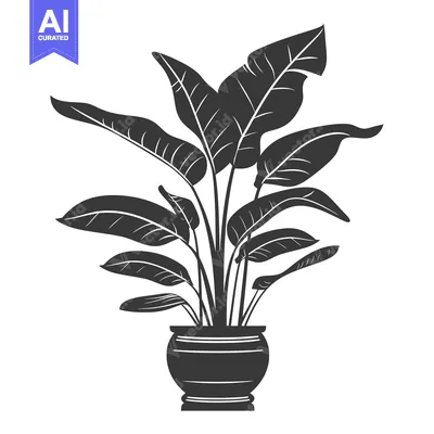 Aset desain premium: Black and White Silhouette of a Potted Tropical Plant with Large Leave