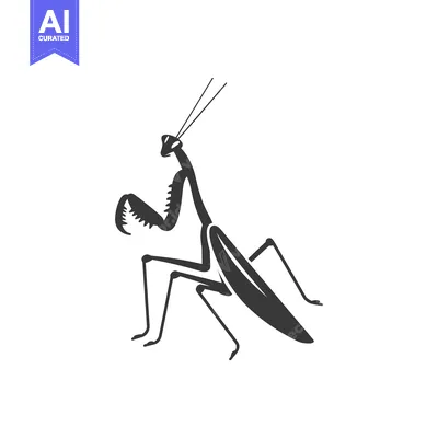 Premium design asset: Black and white silhouette of a praying mantis