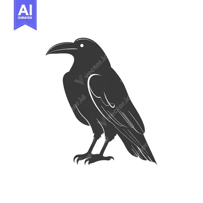 Aset premium populer: Black and White Silhouette of a Raven