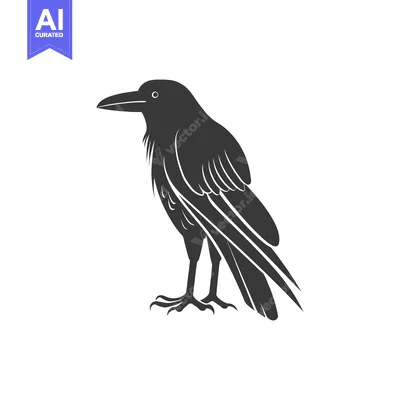 Popular premium asset: Black and white silhouette of a raven standing on a white background