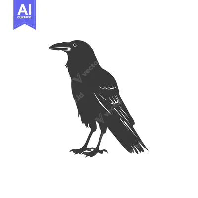 Aset desain premium: Black and White Silhouette of a Raven Standing on One Leg