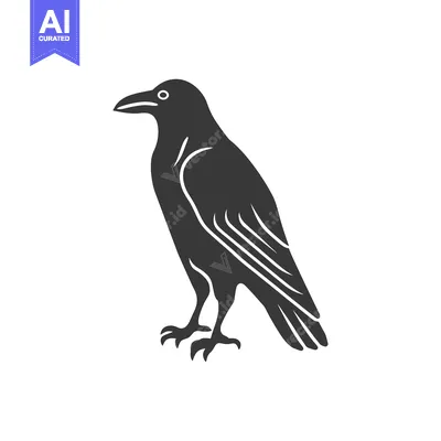 Aset premium populer: Black and White Silhouette of a Raven Standing on One Leg