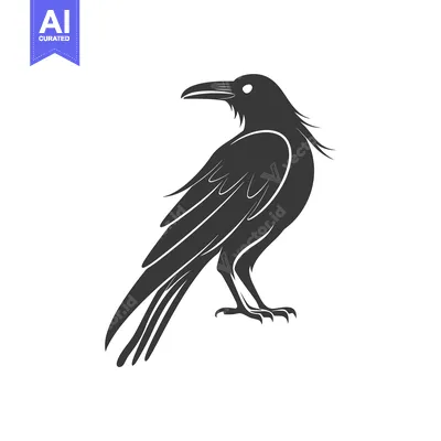 Aset premium populer: Black and White Silhouette of a Raven Standing with Wings Folded