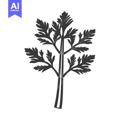 Popular premium asset: Black and white silhouette of a stalk of celery