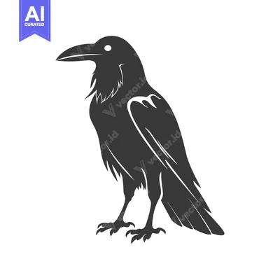 Premium design asset: Black and White Silhouette of a Standing Raven