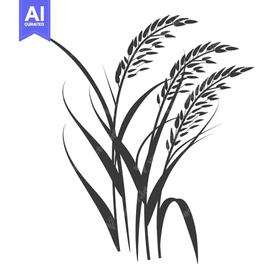 Aset premium populer: Black and White Silhouette of Rice Plants