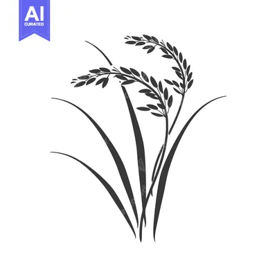 Premium design asset: Black and White Silhouette of Rice Plants