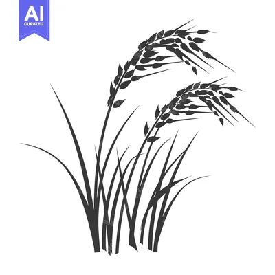 Aset premium populer: Black and White Silhouette of Rice Plants with Grain Heads