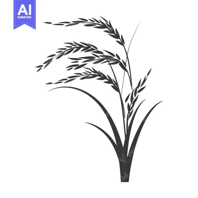 Premium design asset: Black and White Silhouette of Rice Plant with Multiple Stalks