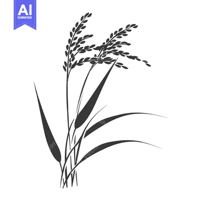 Aset desain premium: Black and White Silhouette of Rice Stalks