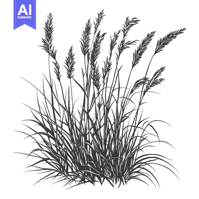 Aset premium populer: Black and White Silhouette of Tall Grass with Seed Heads