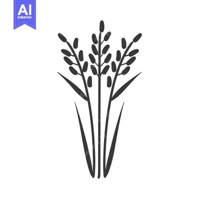 Aset desain premium: Black and white silhouette of three stalks of rice with grains
