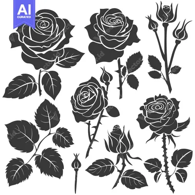 Popular premium asset: Black and White Silhouette Set of Roses and Buds