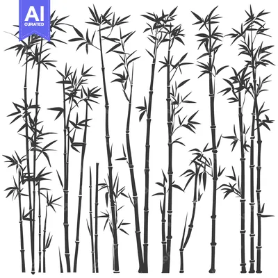 Aset desain premium: Black and White Silhouettes of Bamboo Plants