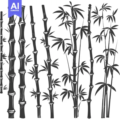 Aset desain premium: Black and White Silhouettes of Bamboo Stalks and Leaves