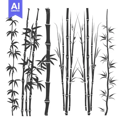 Black and White Silhouettes of Different Bamboo Plant Arrangements