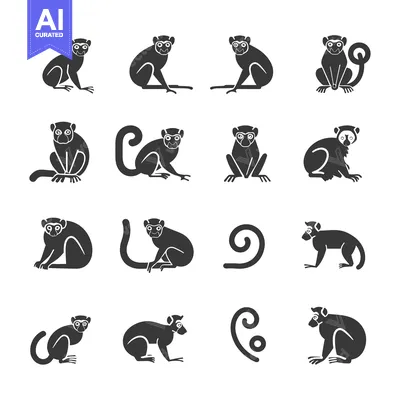 Aset premium populer: Black and White Silhouettes of Lemurs in Various Poses
