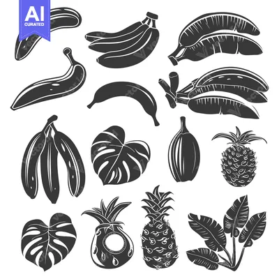 Aset premium populer: Black and White Silhouettes of Tropical Fruits and Leaves