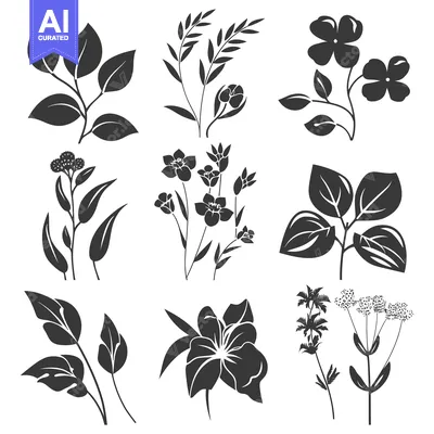 Aset premium populer: Black and White Silhouettes of Various Flowers and Leaves