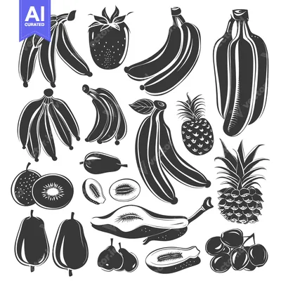 Popular premium asset: Black and White Silhouettes of Various Fruits
