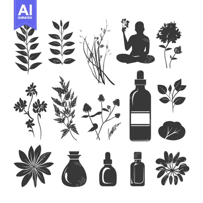 Popular premium asset: Black and White Silhouettes of Various Herbs and Essential Oils