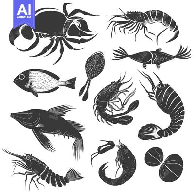 Aset premium populer: Black and White Silhouettes of Various Sea Creatures