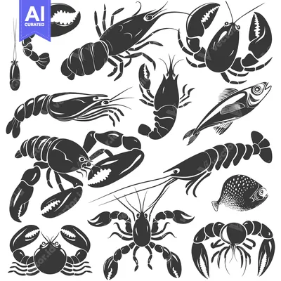 Premium design asset: Black and White Silhouettes of Various Seafood