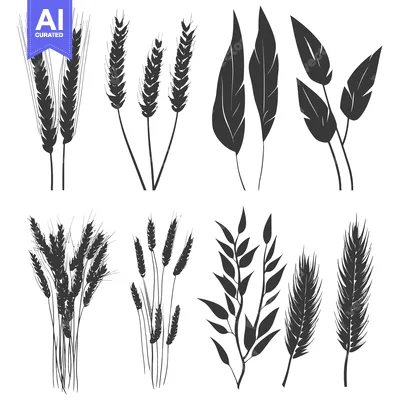 Aset desain premium: Black and White Silhouettes of Wheat and Leaves