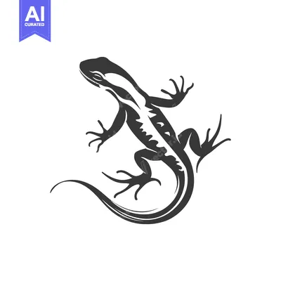 Aset premium populer: Black and white stylized illustration of a lizard
