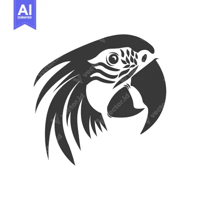 Aset premium populer: Black and White Stylized Parrot Head Illustration