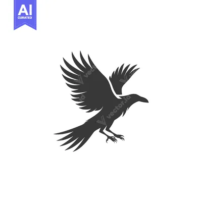 Aset premium populer: Black silhouette of a bird with wings spread out in flight