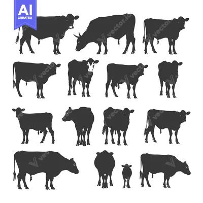 Aset premium populer: Black Silhouettes of Cattle in Various Poses