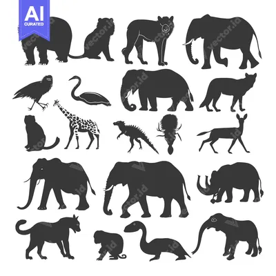 Popular premium asset: Black Silhouettes of Various Animals