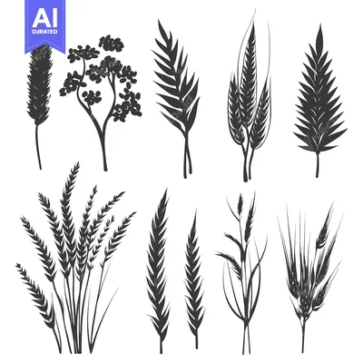 Aset desain premium: Black Silhouettes of Various Grass and Grain Species