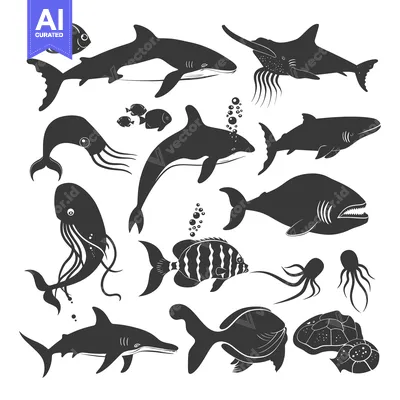 Aset premium populer: Black Silhouettes of Various Marine Animals