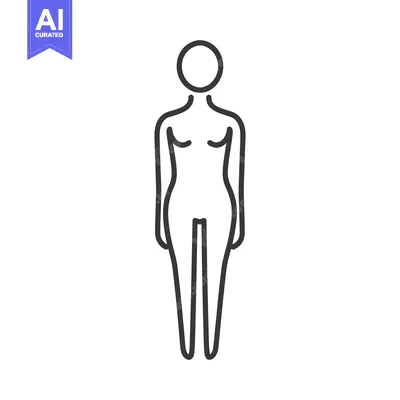 Premium design asset: A minimalist line drawing illustrating a standing female form