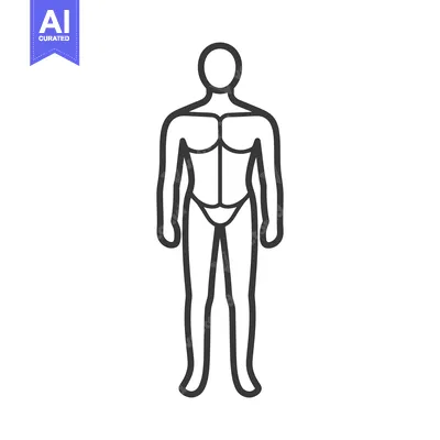Aset premium populer: An outline drawing depicts a male figure with muscular body form