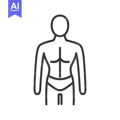Aset desain premium: Simple line art illustration of the human male torso