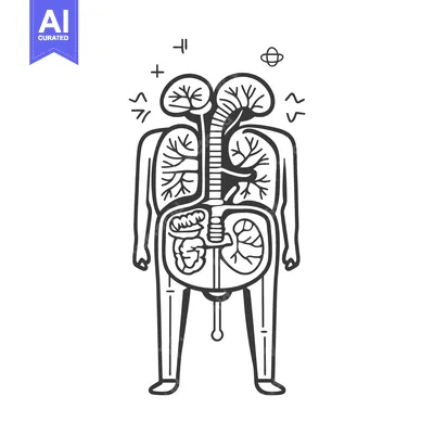 Aset premium populer: Illustrated black and white diagram of internal human anatomy