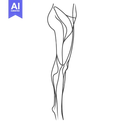 Premium design asset: An artistic linear illustration of a human leg and thigh
