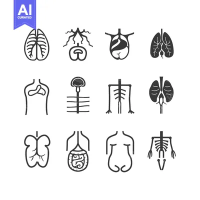 Popular premium asset: Simple icon illustrations representing various human anatomical organ