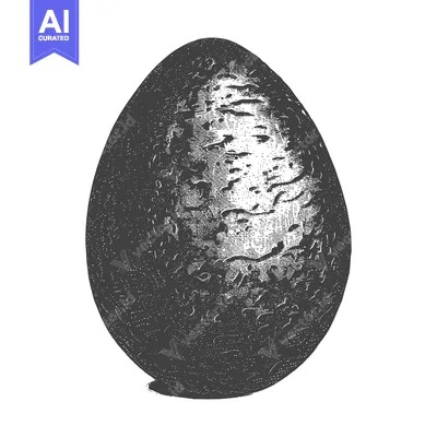 Popular premium asset: Detailed Engraving Of A Single Dark Egg
