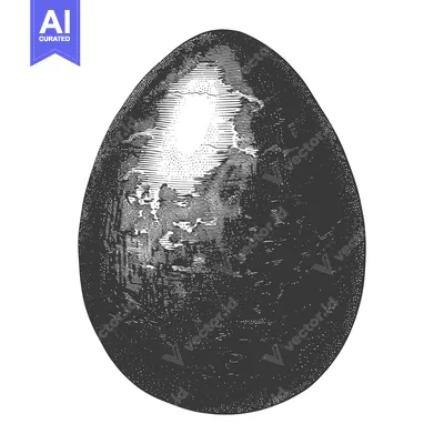 Aset premium populer: A Detailed Engraving of a Single Dark Egg