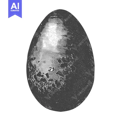 Popular premium asset: A Detailed Engraving of a Cracked Bird Egg